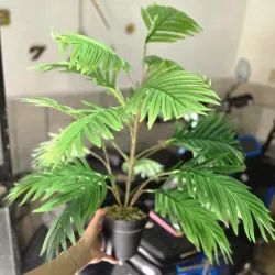 Planta artificial palmita de jardín 60 cm