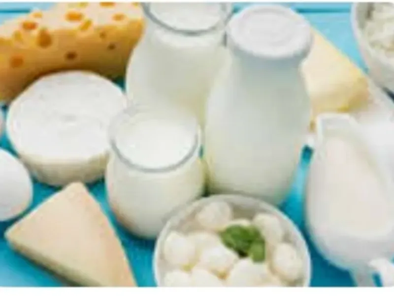 LACTEOS Y SUS DERIVADOS 🧀🥛