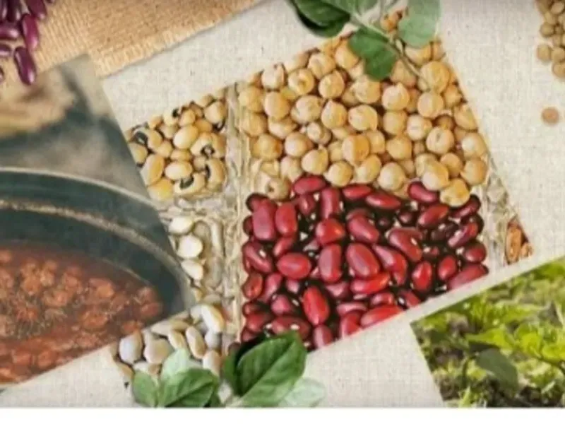 GRANOS Y LEGUMBRES🌾