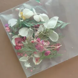 Naturaleza muerta 