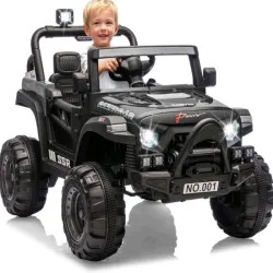 Carro eléctrico