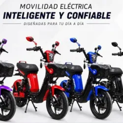 Moto eléctrica JMD