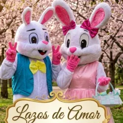 Entregas :Pompón y Pestañitas .