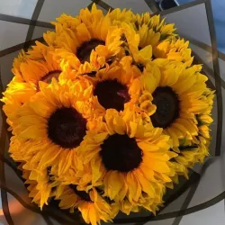 👑 Reina Girasoles .