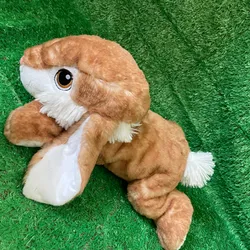 Conejo 