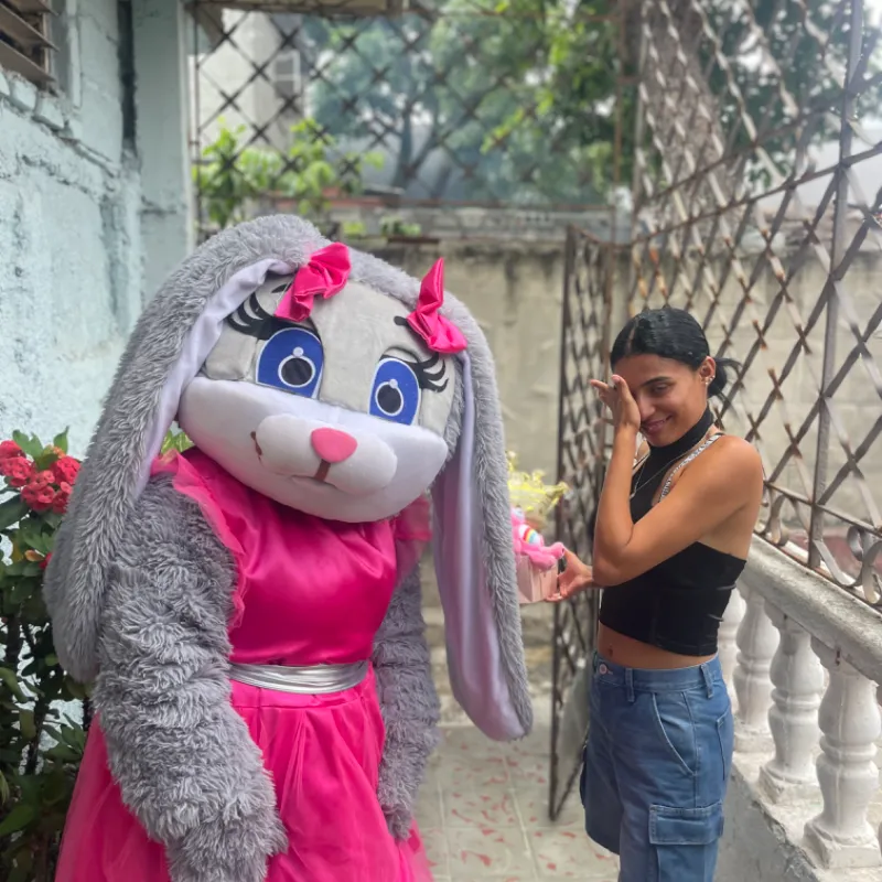 Mascota