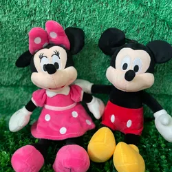 Mini y Mickey