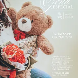 Oferta Especial 