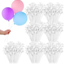 Soportes 