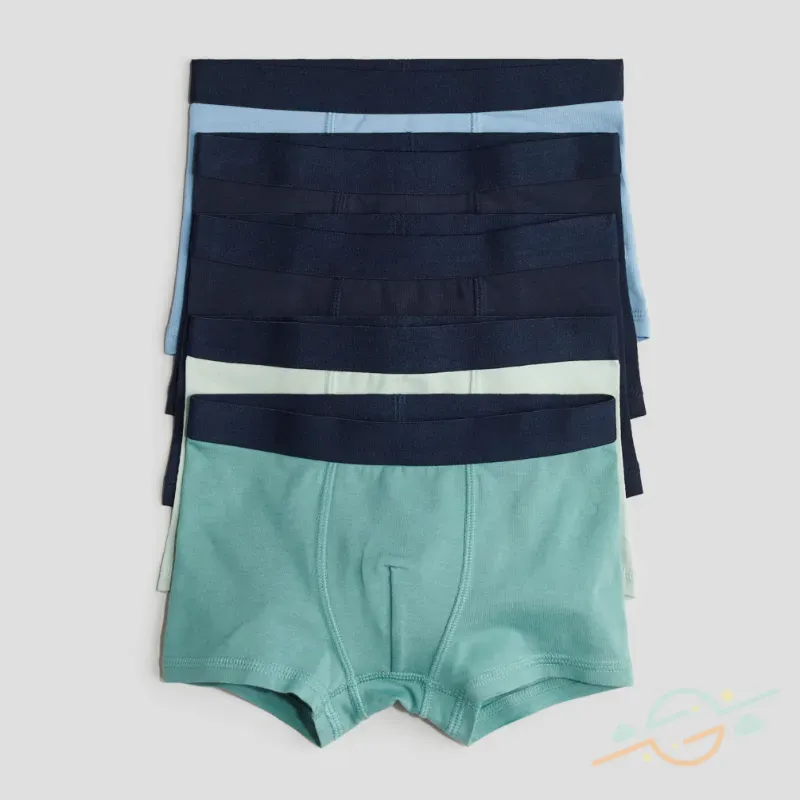 Pack 5 calzoncillos H&M