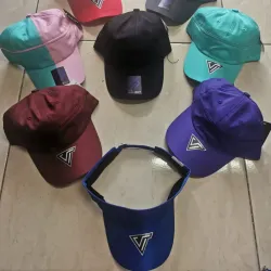 Viceras