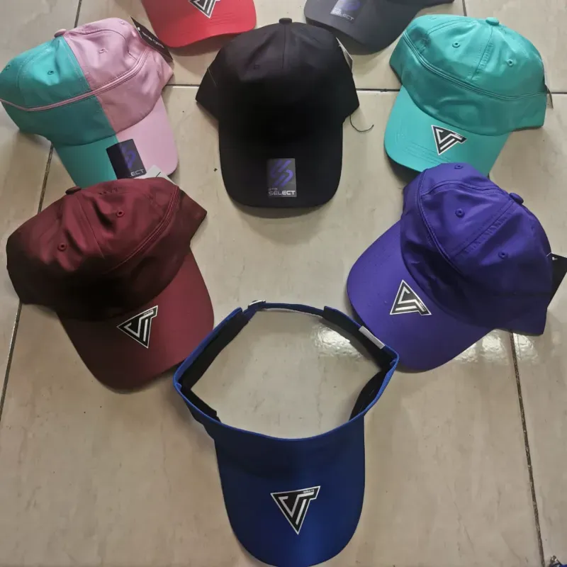 Viceras