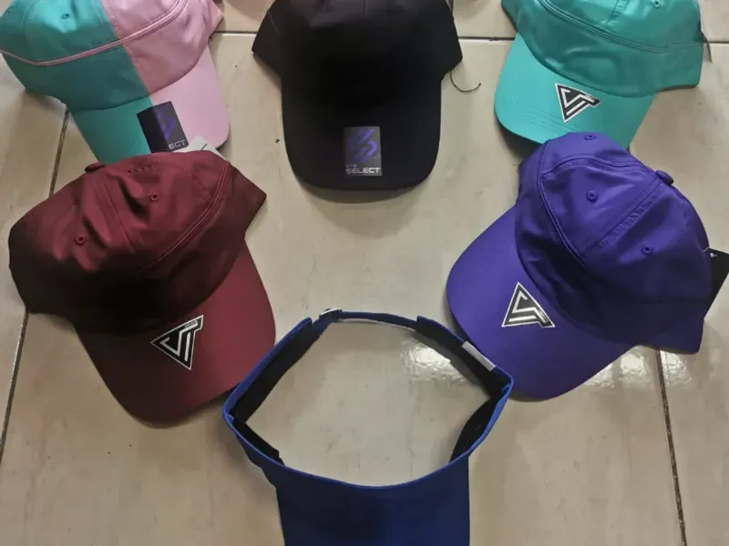 Viceras
