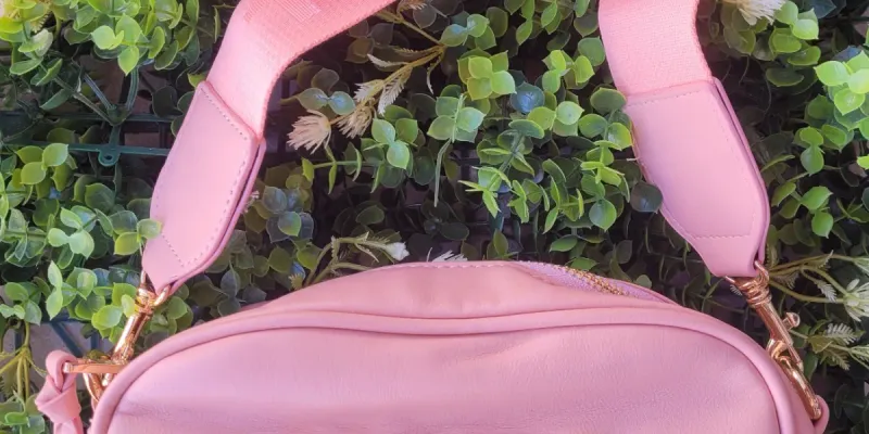 Carteras 