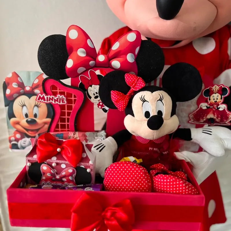 Encanto de Minnie 🎀