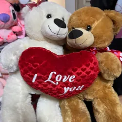 Pareja de osos unidos 