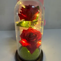 Rosa decorativa