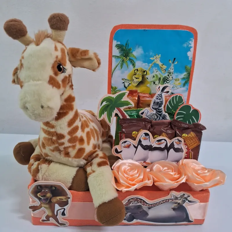 Safari en Madagascar 🦒
