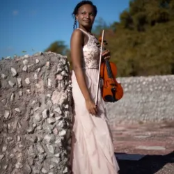 Servicio de violinista