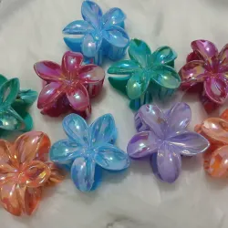 Pellizcos de flores tornasol