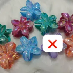 Pellizcos de flores tornasol