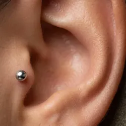 Tragus