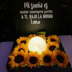 Caja de la luna 