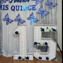 Números 15 gigante