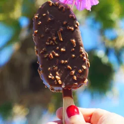Paleta de chocolate y almendras 