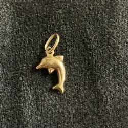 Dije de delfín 🐬 10k