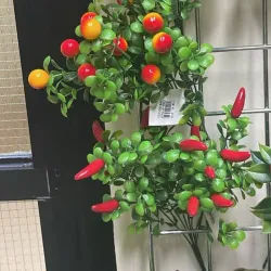Espigas de vegetales y frutas para poner en nuestros hogares