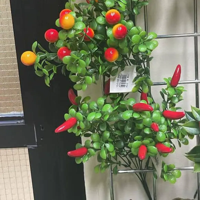 Espigas de vegetales y frutas para poner en nuestros hogares