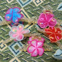 Pellizcos 🌸