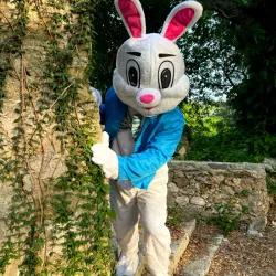 Blumy 🐰🤍