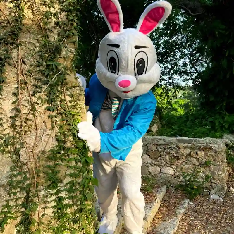 Blumy 🐰🤍