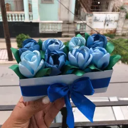 Rect. Tulipanes 🌷