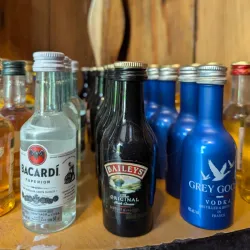 Bebidas en Miniaturas 50ml