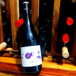 Freyé -Tempranillo- 750ml