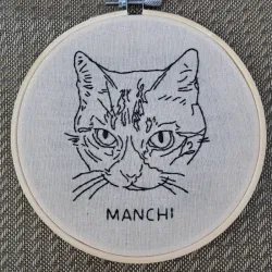 Manchi