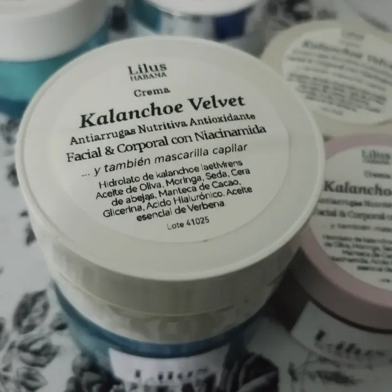 Kalanchoe Velvet 50g