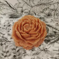 Rosa Suprema de Seda