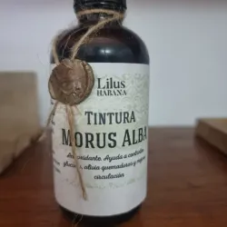 Tintura Morus Alba  100g