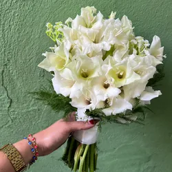 Buque de Gladiolo blanco
