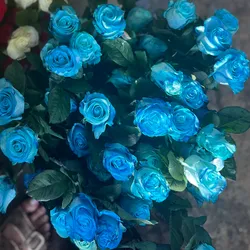 Rosas Azules
