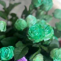 Rosas verdes