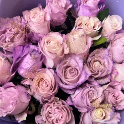 Rosas violetas