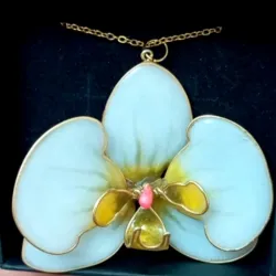 Colgante de phalenopsys blanca