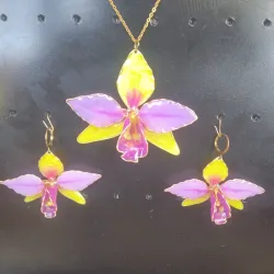 Conjunto de catleyas