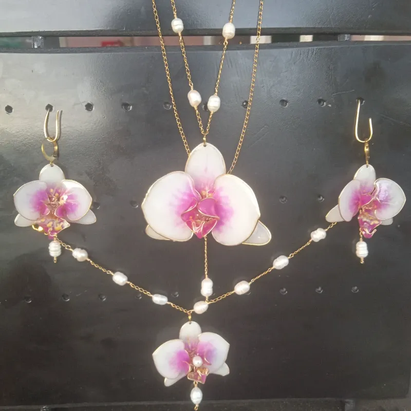 Conjunto de phalenopsys