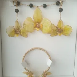 Conjunto phalenopsys amarillas